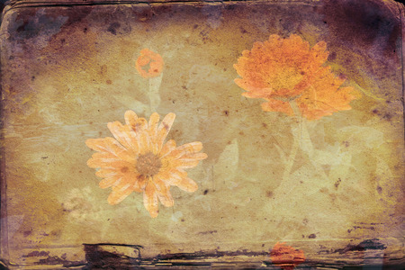 Vintage background with art illustration flowerの写真素材