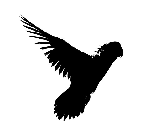 Bird art illustrationの写真素材