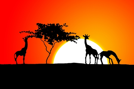 African ethnic retro vintage illustrationの写真素材