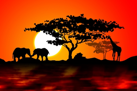 African ethnic retro vintage illustrationの写真素材