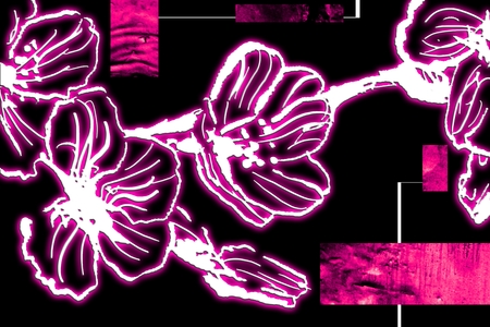 Vintage background with art illustration flowerの写真素材