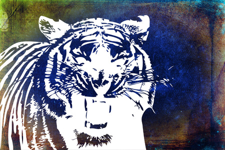 Tiger art illustration colorの写真素材