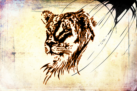 Tiger art illustration colorの写真素材