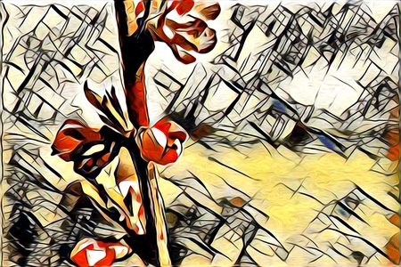 abstraction flower art illustrationの写真素材