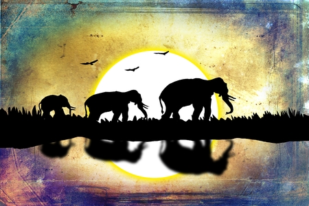 African ethnic retro vintage illustrationの写真素材