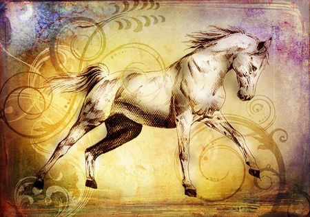 freehand horse head pencil drawingの写真素材