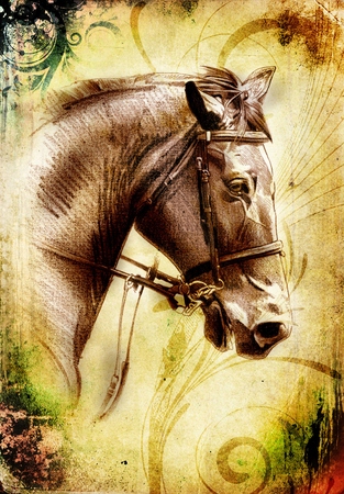 freehand horse head pencil drawingの写真素材