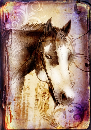freehand horse head pencil drawingの写真素材