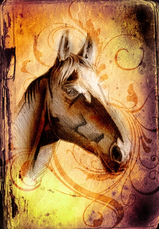 freehand horse head pencil drawingの写真素材