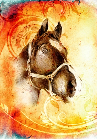 freehand horse head pencil drawingの写真素材