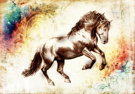 freehand horse head pencil drawingの写真素材