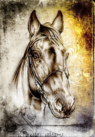freehand horse head pencil drawingの写真素材