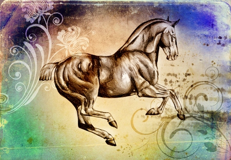 freehand horse head pencil drawingの写真素材