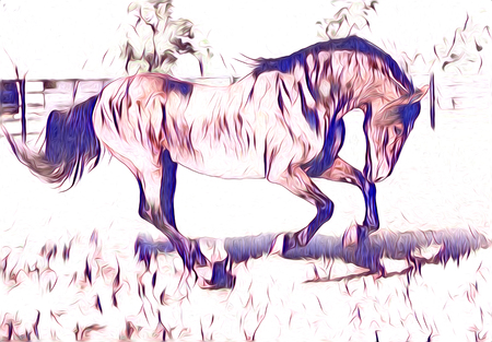 freehand horse art illustration paintの写真素材