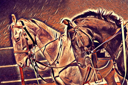 freehand horse art illustration paintの写真素材