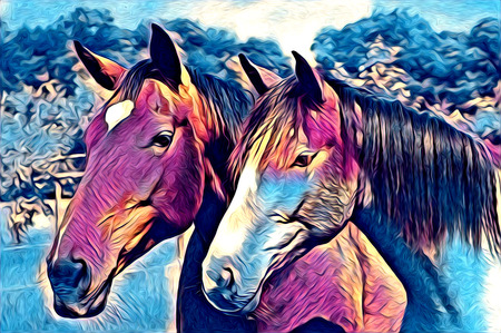 freehand horse art illustration paintの写真素材
