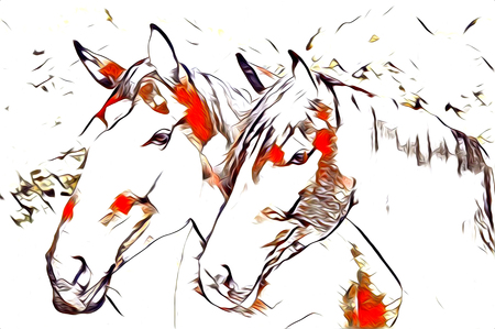 freehand horse art illustration paintの写真素材