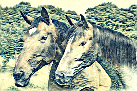 freehand horse art illustration paintの写真素材