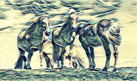 freehand horse art illustration paintの写真素材