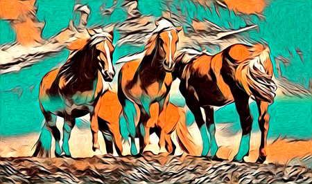 freehand horse art illustration paintの写真素材