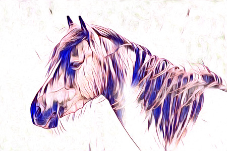 freehand horse art illustration paintの写真素材