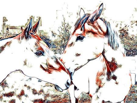 freehand horse art illustration paintの写真素材