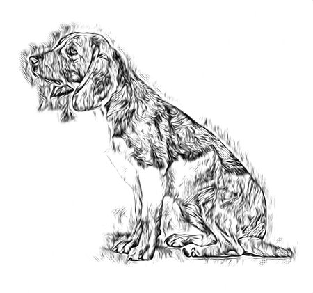 Funny dog ??art illustration