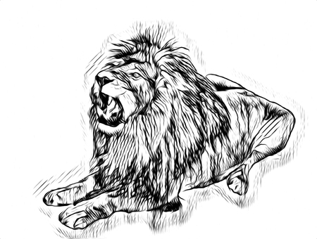 lion art illustration drawingの写真素材