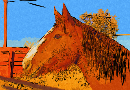 freehand horse head art designの写真素材