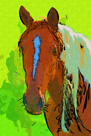 freehand horse head art designの写真素材