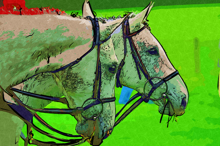 freehand horse head art designの写真素材