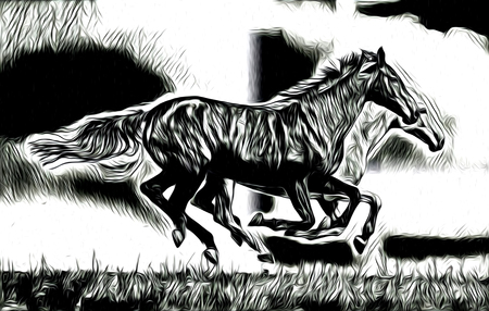 freehand horse head art designの写真素材