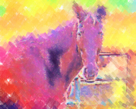freehand horse head art designの写真素材