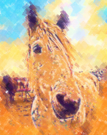 freehand horse head art designの写真素材