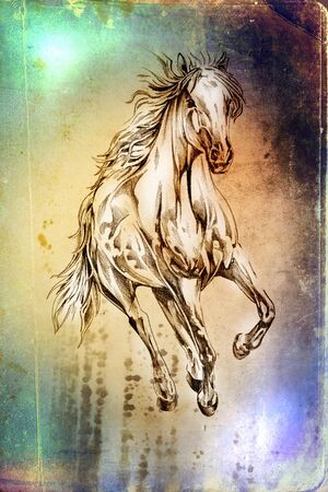 Freehand horse head artの写真素材