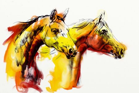 Freehand horse head artの写真素材