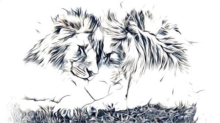 lion art illustration drawingの写真素材