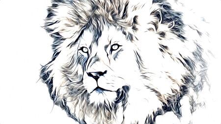 lion art illustration drawingの写真素材