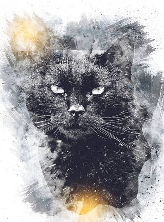 Cat drawing illustration art vintage retro antiqueの写真素材