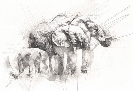 Elephant art illustration retro vintage oldの写真素材