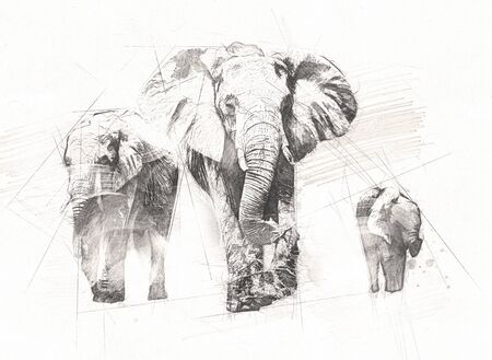 Elephant art illustration retro vintage oldの写真素材