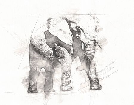 Elephant art illustration retro vintage oldの写真素材