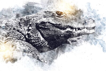 Drawing of crocodile - hand sketch of reptile, art illustrationの写真素材