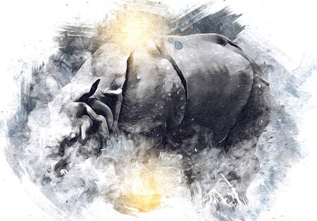 African savannah animal rhinoceros in cartoon style. Educational zoology illustrationの写真素材