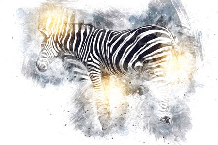 Drawing of Zebra, sketch of african mammal illustrationの写真素材