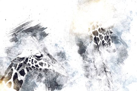 Drawing art drawing illustration of giraffeの写真素材