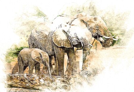 Elephant drawing from pencil art illustrationの写真素材