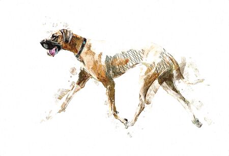 Dog drawing illustration art old vintage retro antiqueの写真素材