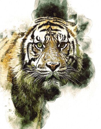 tiger art illustration color vintage grunge retroの写真素材