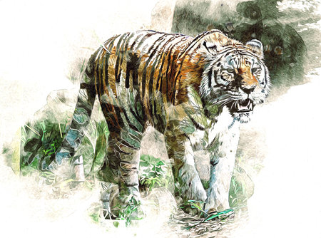 tiger art illustration color vintage grunge retroの写真素材